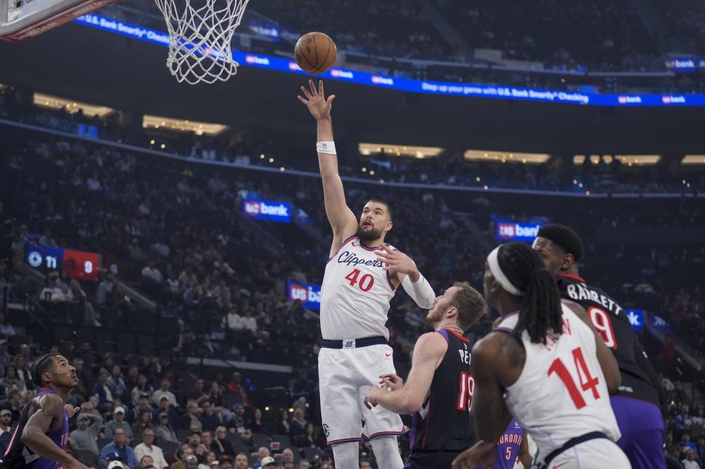 他们在这项 他们在这项